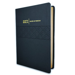 SANTA BIBLIA DE PROMESAS RVR 1960,...