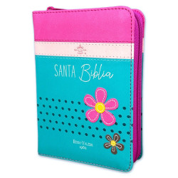 BIBLIA DE BOLSILLO RVR60. COLECCIÓN...