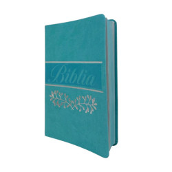 BIBLIA REINA VALERA 1960 LETRA...