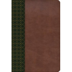 BIBLIA DE ESTUDIO SCOFIELD VERDE...