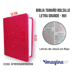 Biblia Letra Grande Nvi Bolsillo – Cuero Ecologico Fucsia (personal)