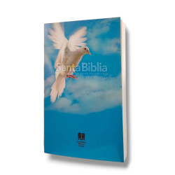 BIBLIA 1M RVR 60. CIELO CON PALOMA....
