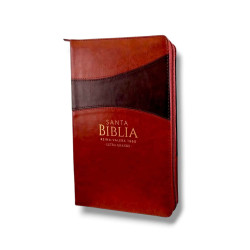 BIBLIA LETRA GRANDE RVR 1960  ....