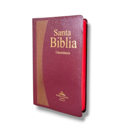 BIBLIA GRANDE COMPACTA RVR065EC - VINO